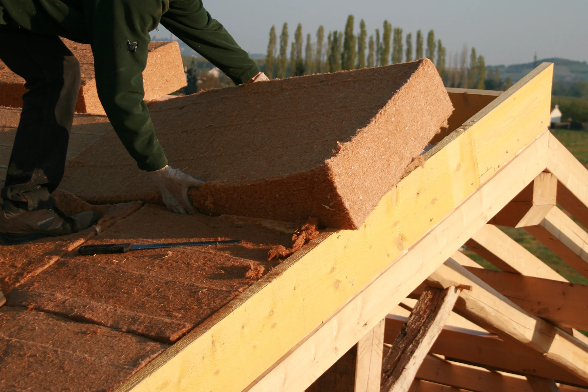 Isolation ecologique