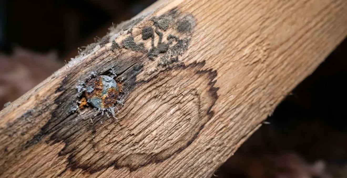 Inspection detaillee de l entretoit avec detection des traces d humidite au printemps